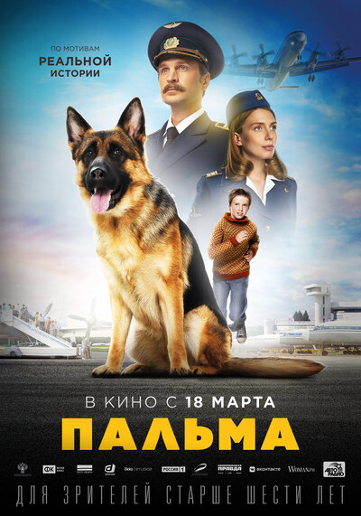 ปัลม่า หัวใจหงอย รอคอยนาย (A Dog Named Palma) 2021