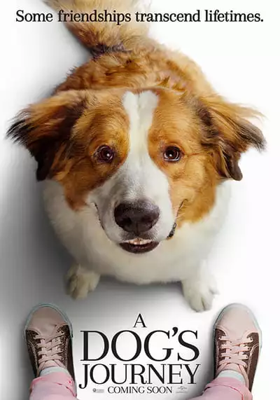 หมา เป้าหมาย และเด็กชายของผม ภาค 2 (A Dog’s Journey) 2019