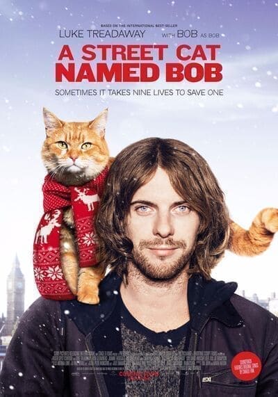 บ๊อบ แมว เพื่อน คน (A Street Cat Named Bob) 2016