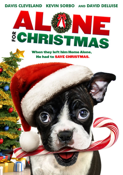 แก๊งน้องหมาโดดเดี่ยวผู้น่ารัก (Alone for Christmas) 2013