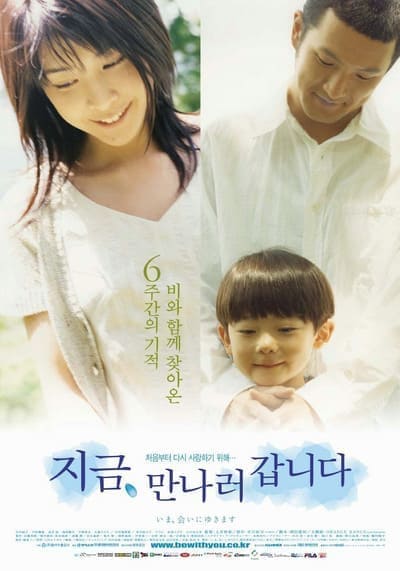 ปาฏิหาริย์รัก 6 สัปดาห์ เปลี่ยนฉันให้รักเธอ (Be With You) 2004