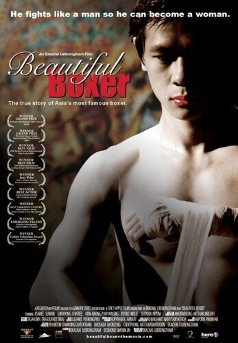 บิวตี้ฟูล บ๊อกเซอร์ (Beautiful Boxer) 2004