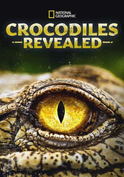 Crocodiles Revealed 2022