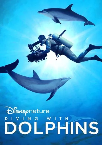 Diving with Dolphins 2020