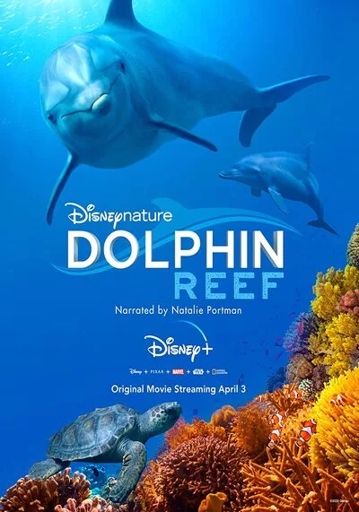 อัศจรรย์ชีวิตของโลมา (Dolphin Reef) 2020