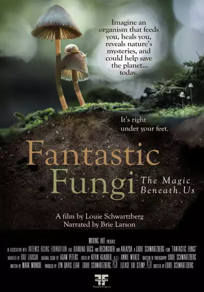 เห็ดมหัศจรรย์ (Fantastic Fungi) 2019