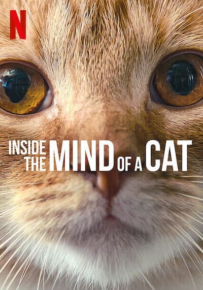 คิดแบบแมวๆ (Inside the Mind of a Cat) 2022