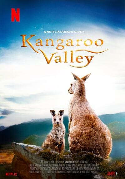 หุบเขาแห่งจิงโจ้ (Kangaroo Valley) 2022
