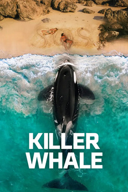 Killer Whale (2026)
