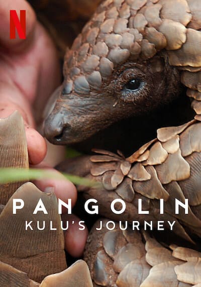 Pangolin Kulu’s Journey การเดินทางของคูลู (2025)