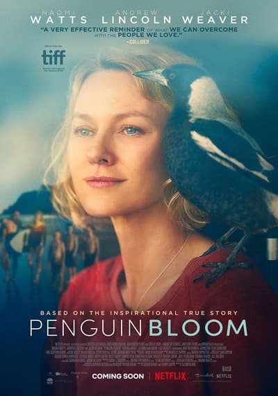 เพนกวิน บลูม (Penguin Bloom) 2020
