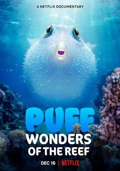 พัฟฟ์ มหัศจรรย์แห่งปะการัง (Puff Wonders of the Reef) 2021