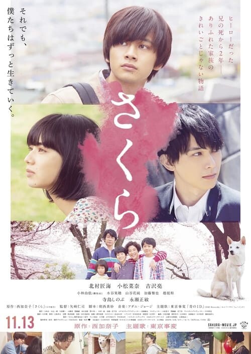ซากูระ (Sakura) 2020