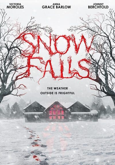 Snow Falls 2023