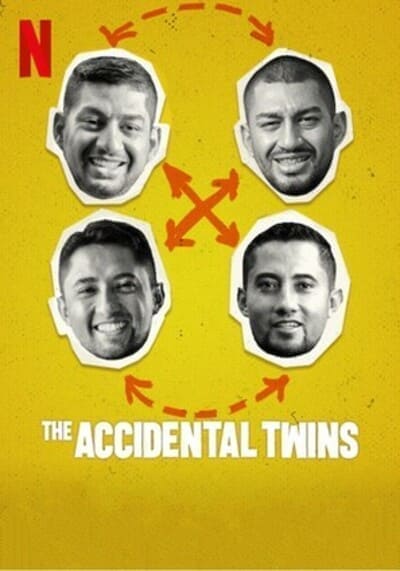 ฝาแฝดบังเอิญ (The Accidental Twins) 2024