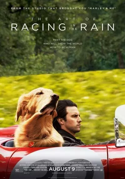 อุ่นไอหัวใจตูบ (The Art of Racing in the Rain) 2019