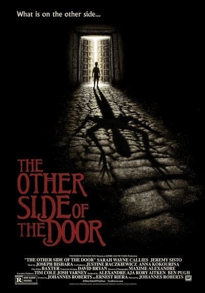 ดิ อาเธอร์ ไซด์ ออฟ เดอะ ดอร์ (The Other Side of the Door) 2016