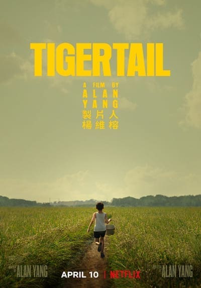 รอยรักแห่งวันวาน (Tigertail) 2020